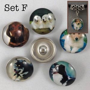 Interchangeable Pup Ginger Snaps - Set F